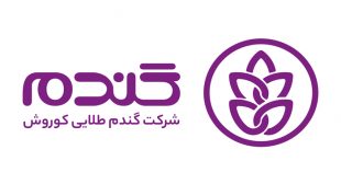 نرم‌افزار حسابداری گندم، دستیار تازه فروشندگان